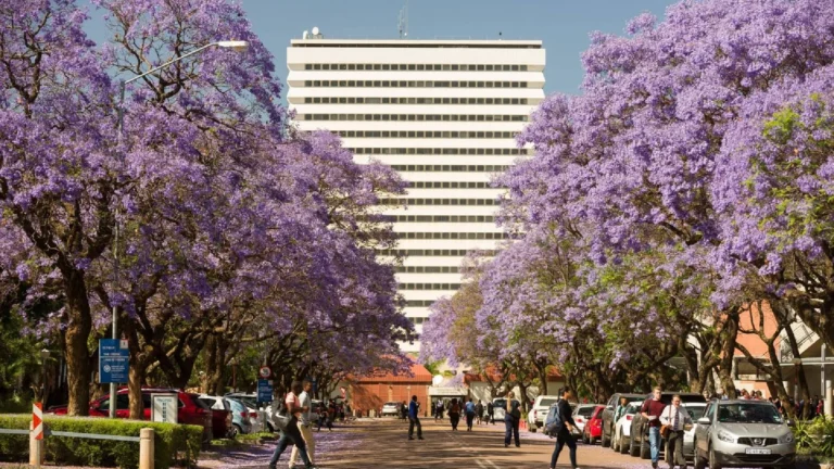 univ pretoria